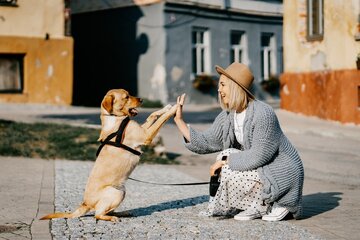 Come diventare dog sitter: quanto guadagna e cosa fa. Serve la Partita Iva? 