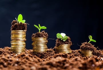 Perché la sostenibilità è la chiave del successo aziendale