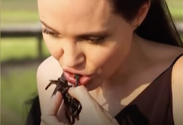 Perché di improvviso si parla tanto di mangiare insetti?