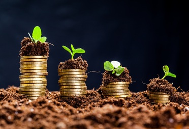 Cingolani, la transizione ecologica e il “debito” del progresso