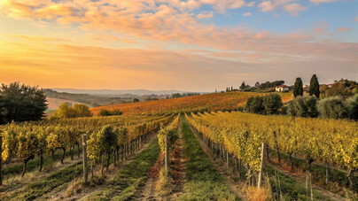 Come uccidere un'eccellenza enologica grazie all'intelligenza artificiale. Focus sullo spot Città del Vino 2025 