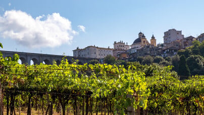 Lazio, terra di rinascite: i vitigni autoctoni che stanno cambiando il volto del vino regionale