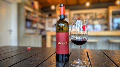 Il Merlot, il fratello «morbido» del Cabernet. Perché il vitigno più diffuso al mondo è anche il più incompreso