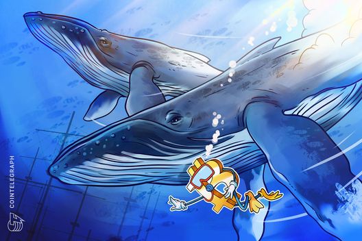 Come le whale Bitcoin influenzano i mercati e i segnali da ignorare