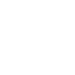 Libri Forex